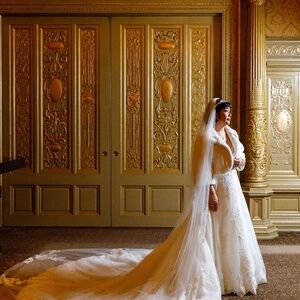 Beautiful Pronovias Wedding Dress